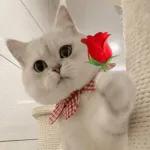 Animais com Emoji de Flor 🌹