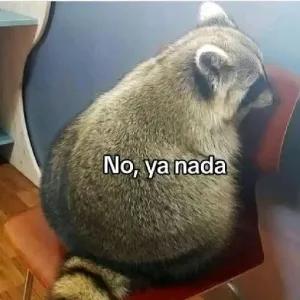 VBM2ox