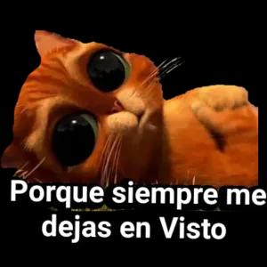 Q7Wxb8
