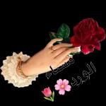 شوشو ٦٦