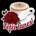 Feliz Inicio de Semana