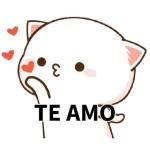gatitos