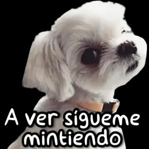 A ver sigueme mintiendo - getsticker.com