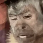 ESPERANDO