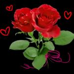 flowers for my lover😘😘