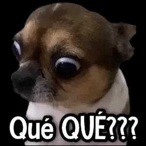 Qué QUÉ??? - getsticker.com