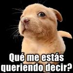 Qué cosas, no
