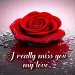 Good night