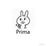 Prima 知乎用户