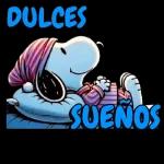 buenas noches 