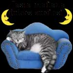 GATICOS 