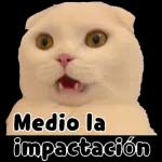 No se te quita pendejo