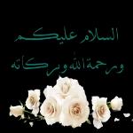 ملصقات وتس 