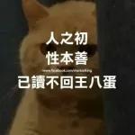 嗯...這感覺...就是幸福的感覺