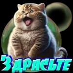 ПРОИЗОШЛО НЕДОРАЗУМЕНИЕ Верните деньги