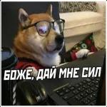 обид нет