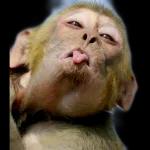 السلام عليكم
ورحمة الله وبركاته