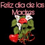 Feliz día de la Madre