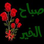 حفظك الرحمن