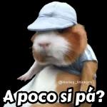 ESTAS BIEN Precioso