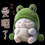 青蛙喵喵♡實用日常