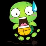 cute turtle❤️❤️