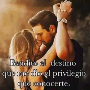 3b66dt