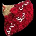 @al_mezaiyen بحبك يا ستمونى