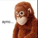 monos lokos