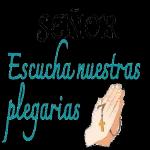 feliz día 