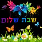 שבת שלום