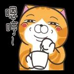 白爛貓51☆腦有動☆