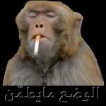 الله يسعدك
دنيا وآخره