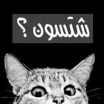 صديق، هذا طاح منك