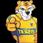 tigres 