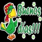 buenos dias