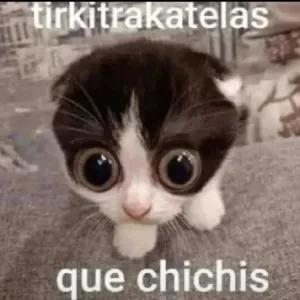 tadLhk