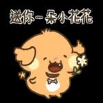 貴賓狗妞妞-好禮貌好親切