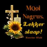 Mooi Nagrus Lekker slaap! Koester Klub