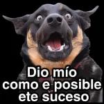 Que tengas una buena mañana.