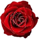 Hai già scelto il regalo perfetto? 🎁💓