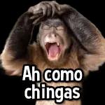 Ay, se ofendió la princesa