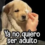                              De todo un Poco #➏ 👻TOP STICKERS