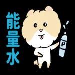 博美狗AB-不正经动起来