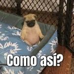 *se preocupa*