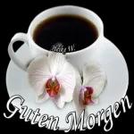 Morgengrüße😊
