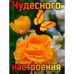 соль