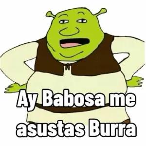 Ay Babosa me asustas Burra - getsticker.com