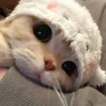 she