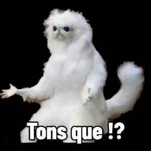 pou7bx9
